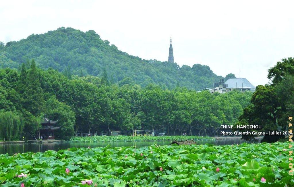Quentin- Hangzhou 013.JPG